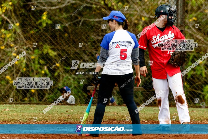 XXXII Brasileirão de Softbol