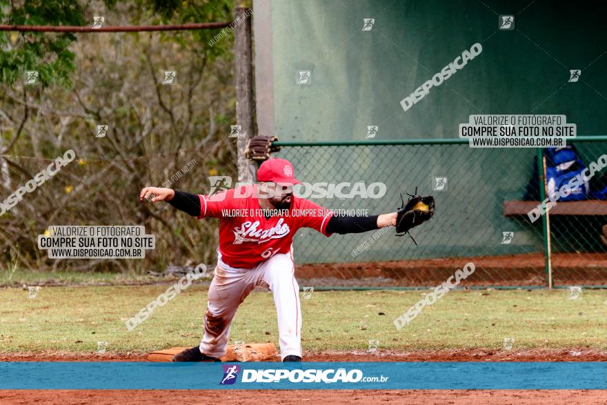 XXXII Brasileirão de Softbol