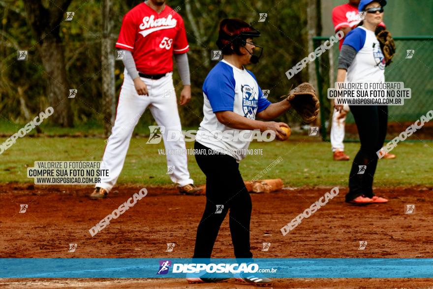 XXXII Brasileirão de Softbol