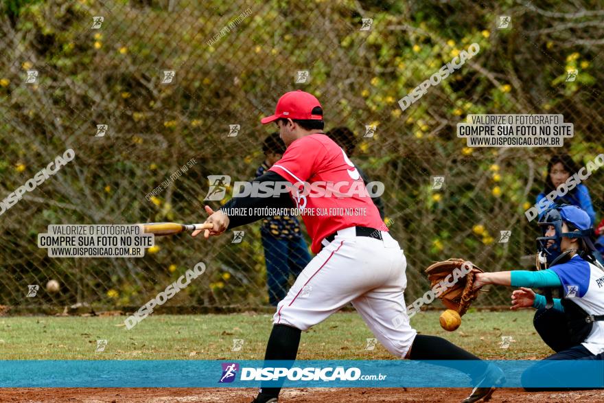 XXXII Brasileirão de Softbol