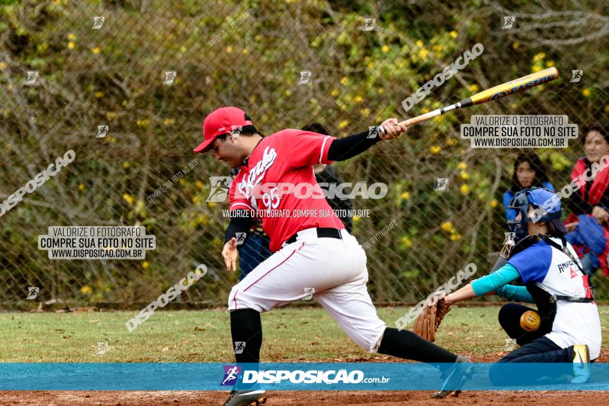 XXXII Brasileirão de Softbol