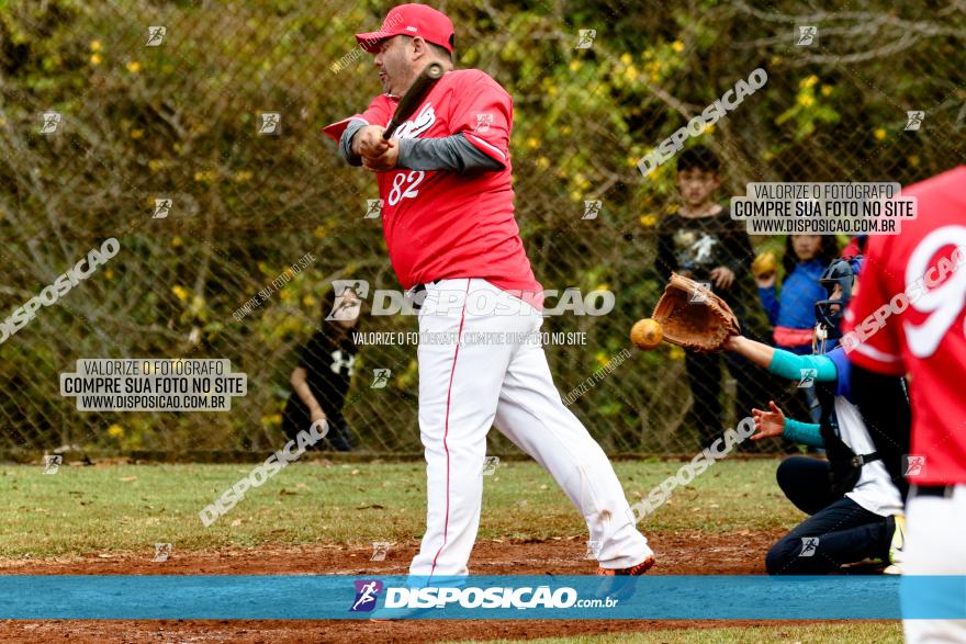 XXXII Brasileirão de Softbol