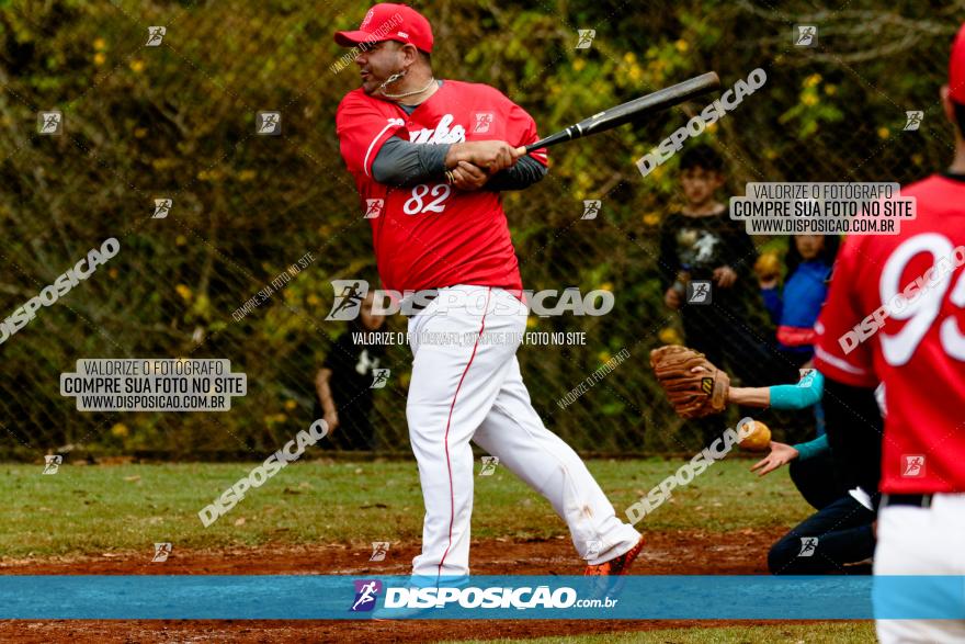 XXXII Brasileirão de Softbol