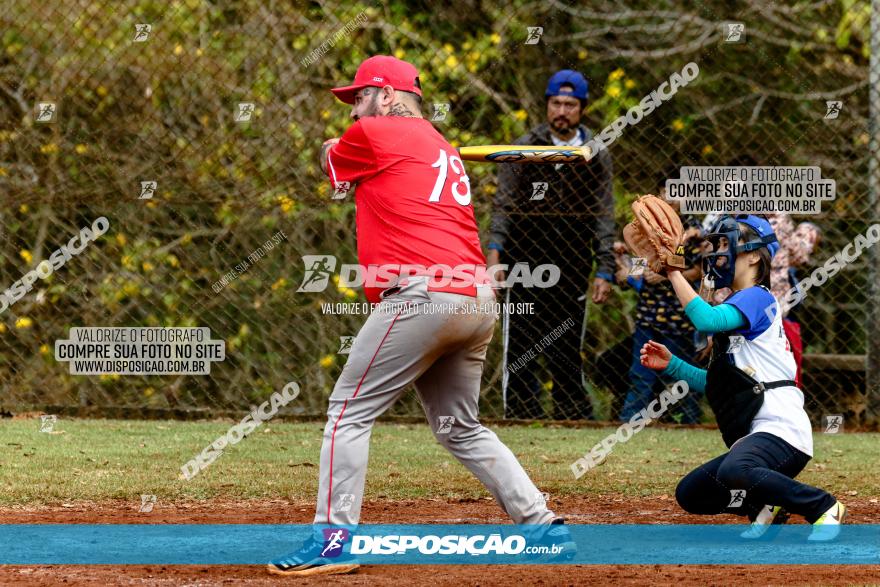 XXXII Brasileirão de Softbol