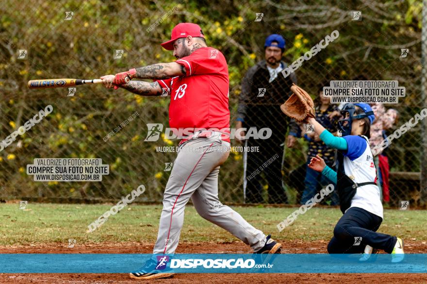 XXXII Brasileirão de Softbol