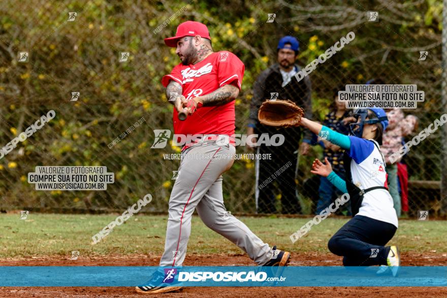 XXXII Brasileirão de Softbol