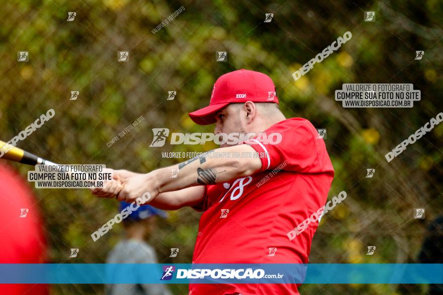 XXXII Brasileirão de Softbol