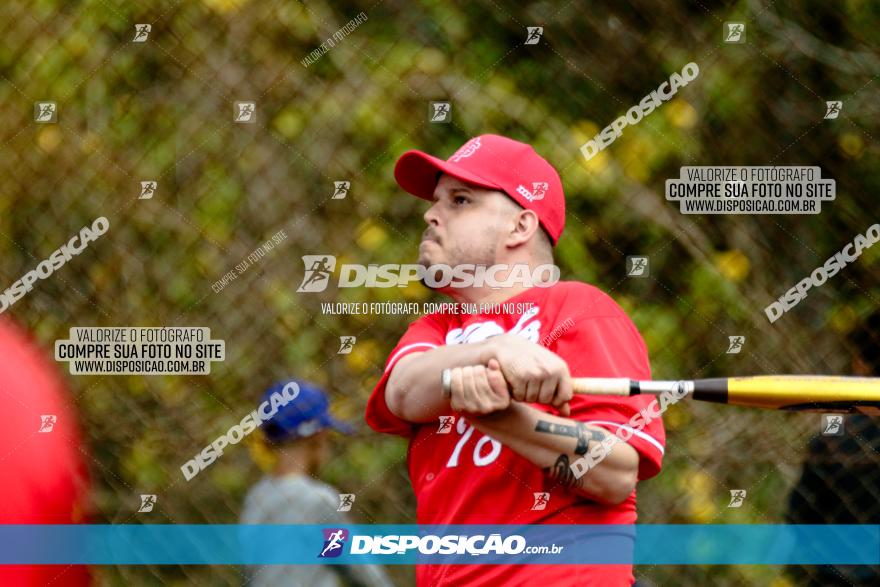 XXXII Brasileirão de Softbol