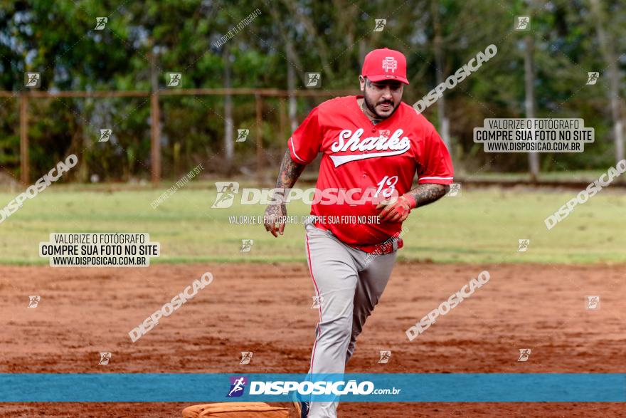 XXXII Brasileirão de Softbol