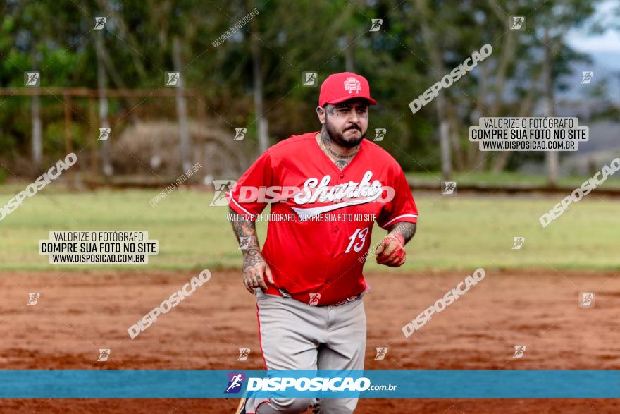 XXXII Brasileirão de Softbol