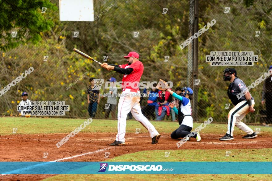 XXXII Brasileirão de Softbol