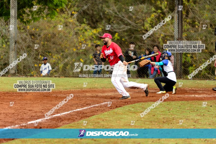 XXXII Brasileirão de Softbol