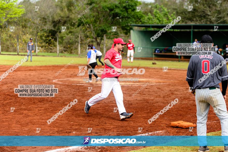 XXXII Brasileirão de Softbol