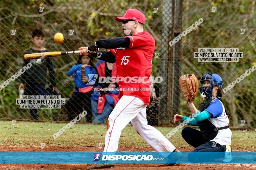 XXXII Brasileirão de Softbol