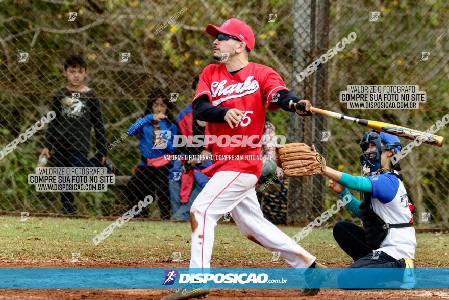 XXXII Brasileirão de Softbol