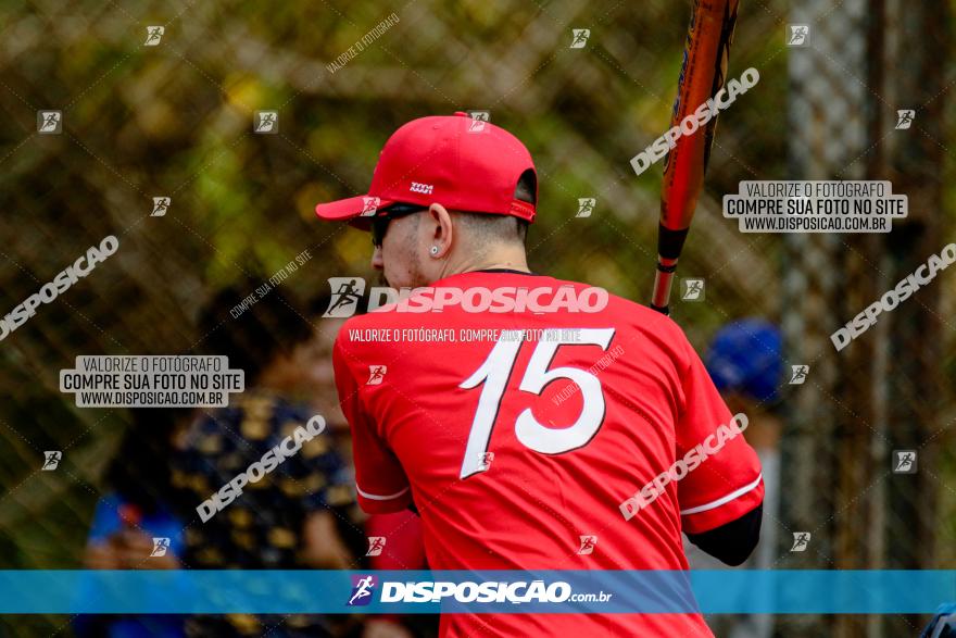 XXXII Brasileirão de Softbol