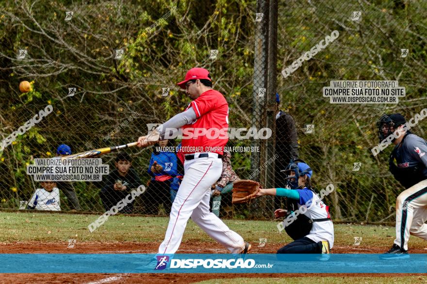 XXXII Brasileirão de Softbol