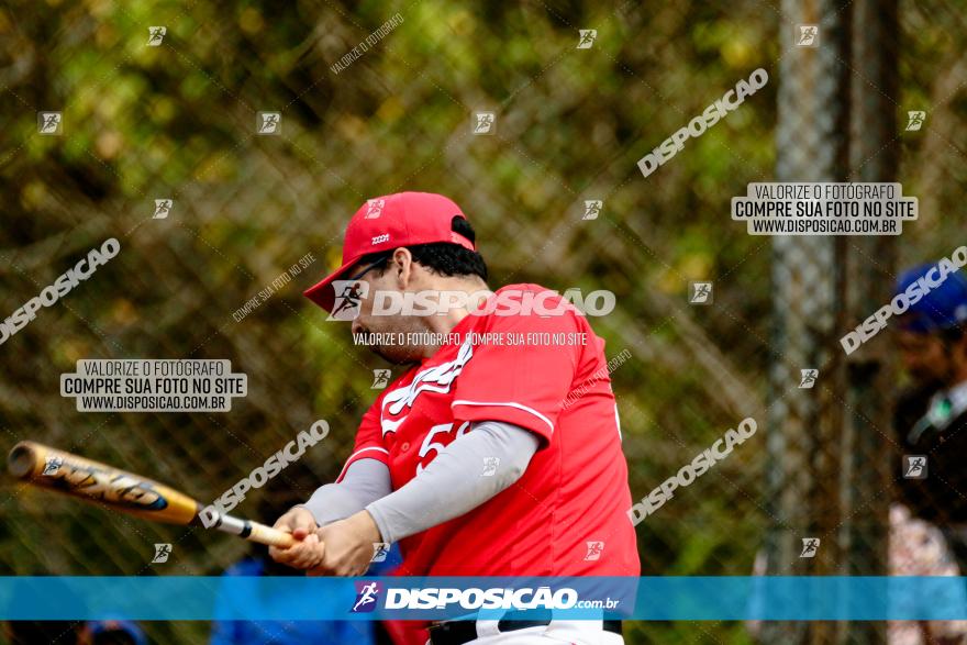 XXXII Brasileirão de Softbol