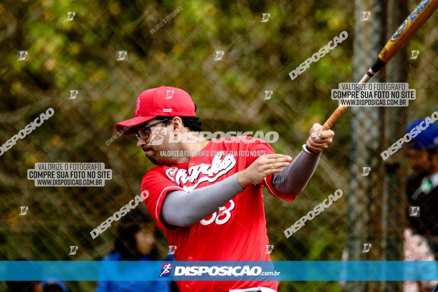 XXXII Brasileirão de Softbol