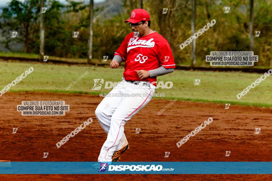 XXXII Brasileirão de Softbol