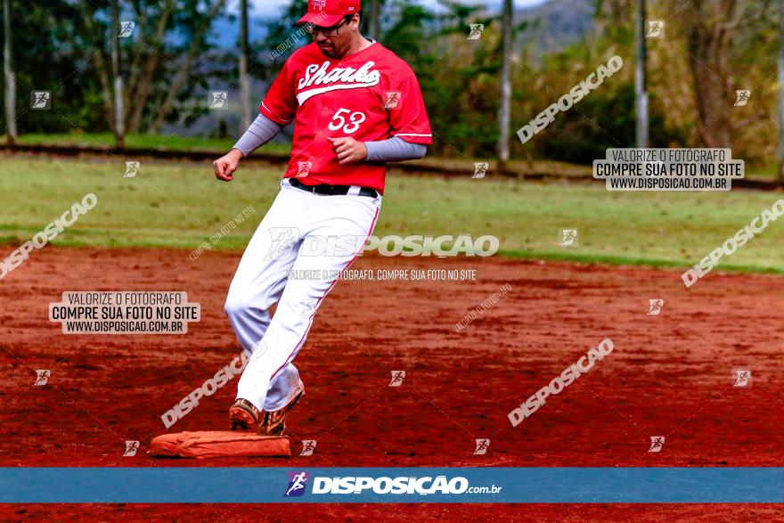 XXXII Brasileirão de Softbol