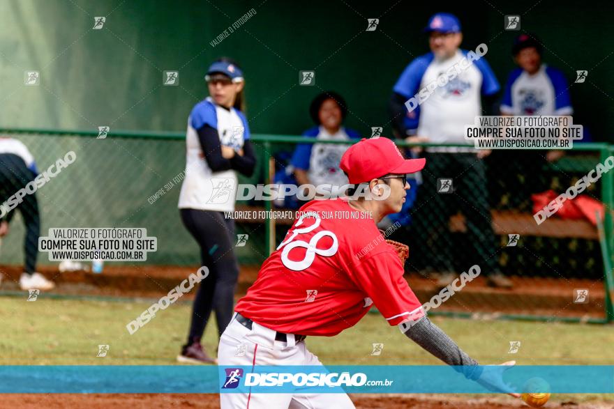 XXXII Brasileirão de Softbol