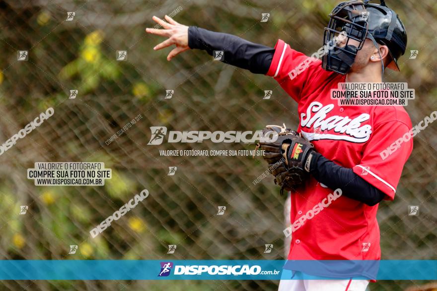 XXXII Brasileirão de Softbol