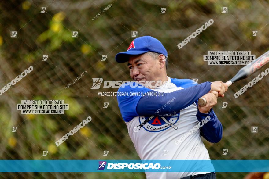 XXXII Brasileirão de Softbol