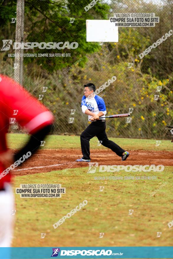 XXXII Brasileirão de Softbol