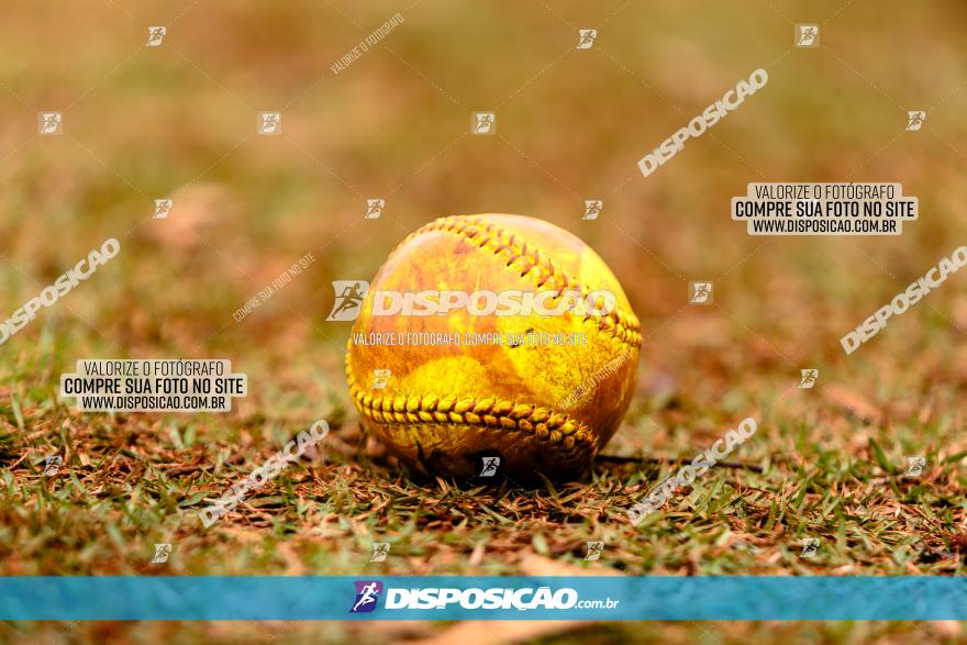 XXXII Brasileirão de Softbol