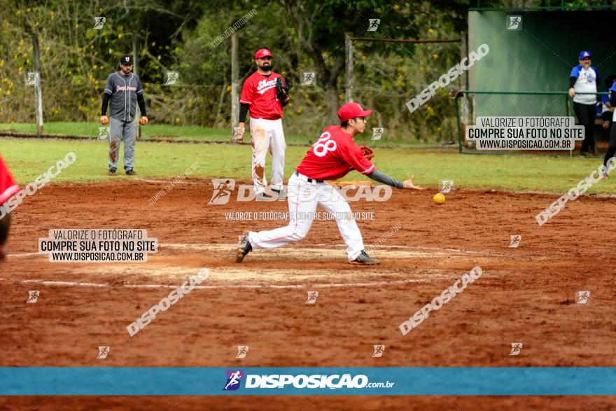 XXXII Brasileirão de Softbol