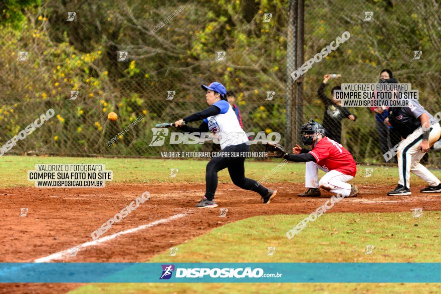 XXXII Brasileirão de Softbol