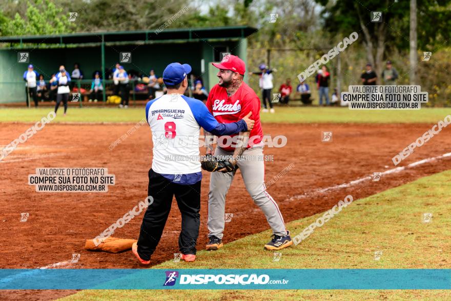 XXXII Brasileirão de Softbol