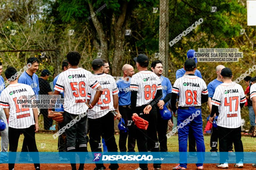 XXXII Brasileirão de Softbol