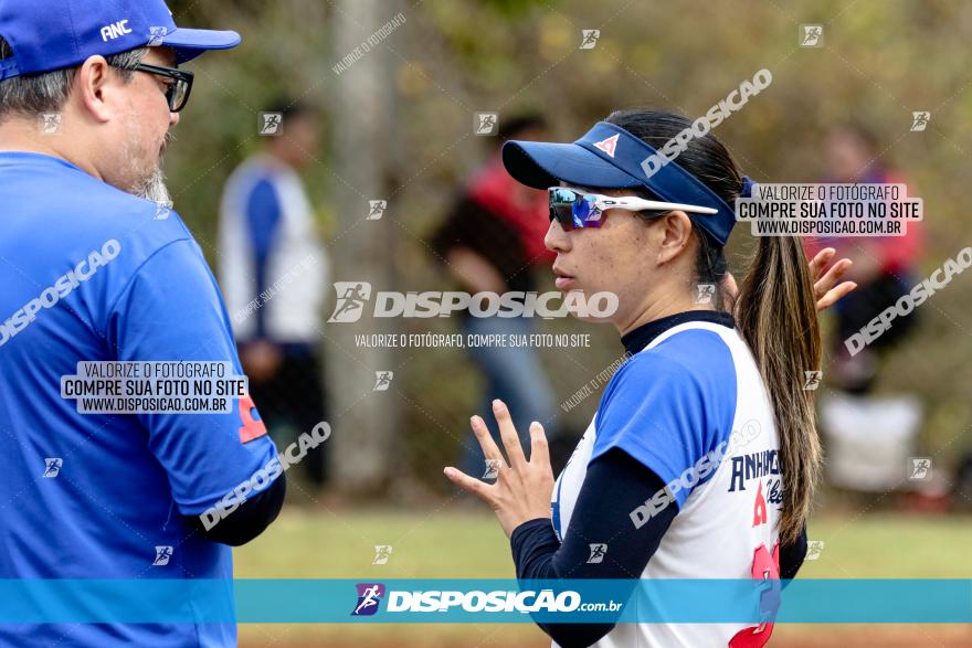 XXXII Brasileirão de Softbol