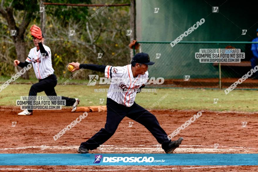 XXXII Brasileirão de Softbol