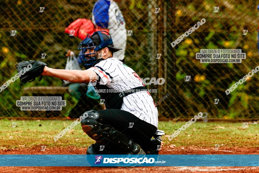 XXXII Brasileirão de Softbol