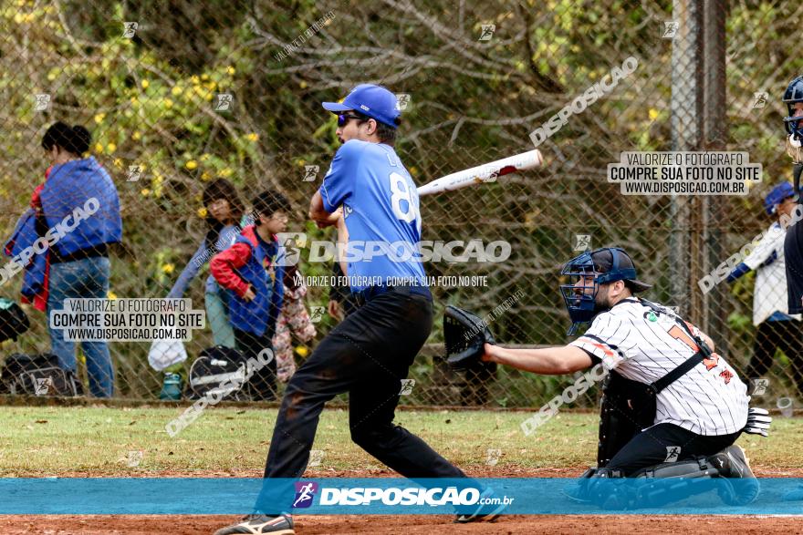 XXXII Brasileirão de Softbol