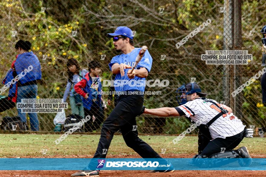 XXXII Brasileirão de Softbol