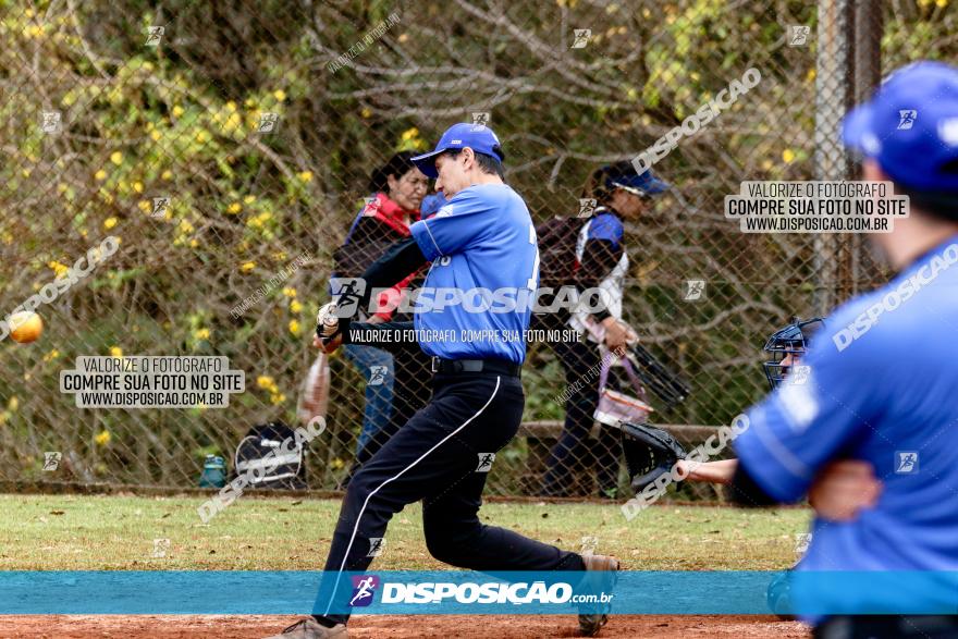 XXXII Brasileirão de Softbol