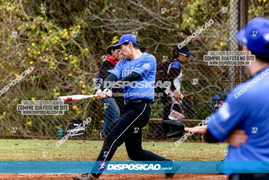 XXXII Brasileirão de Softbol