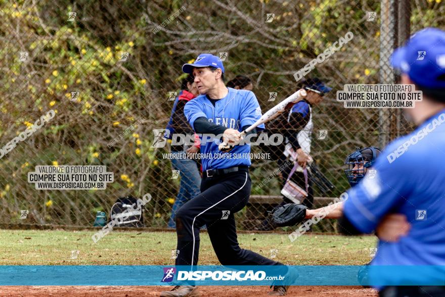 XXXII Brasileirão de Softbol