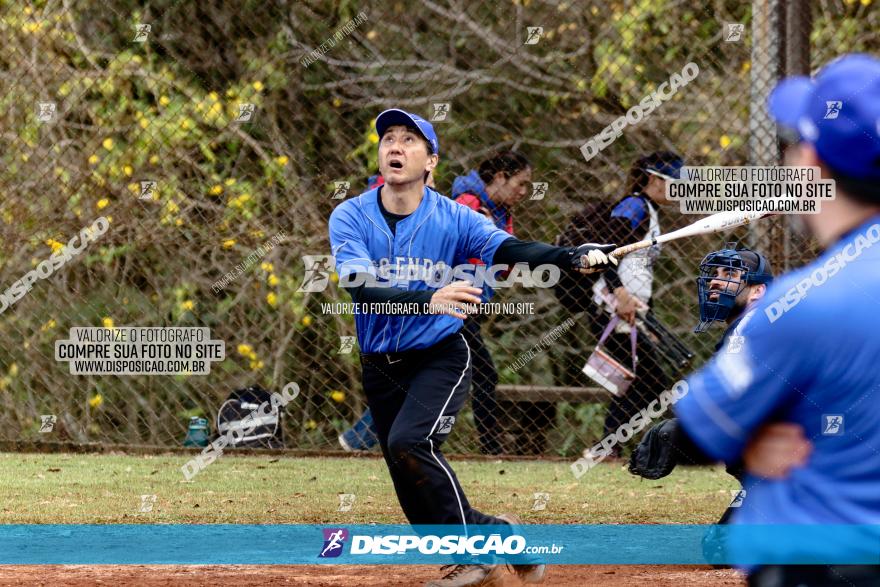 XXXII Brasileirão de Softbol