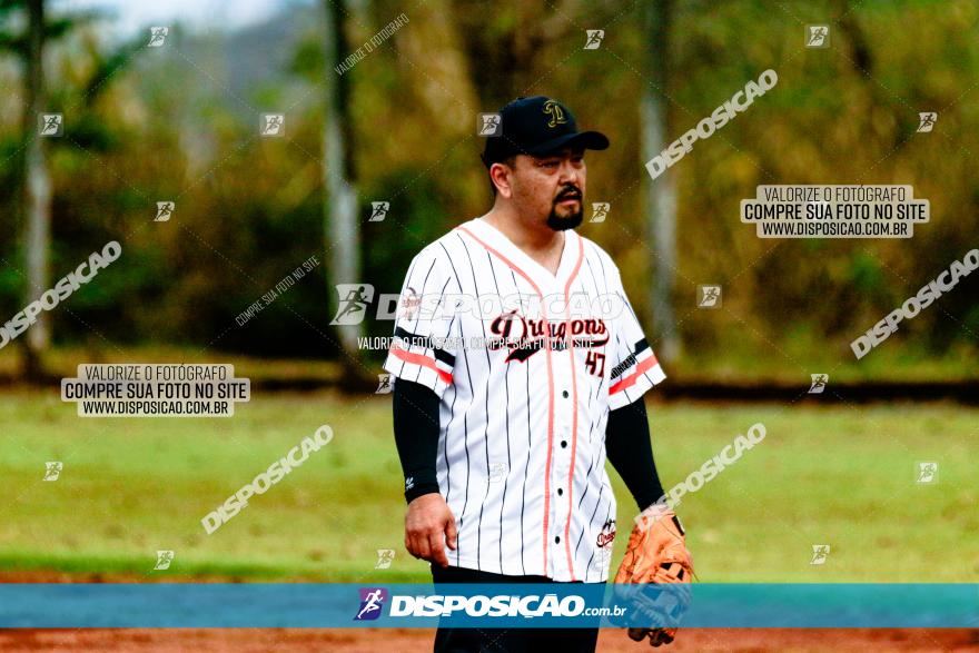 XXXII Brasileirão de Softbol