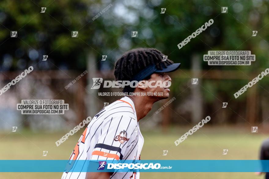 XXXII Brasileirão de Softbol