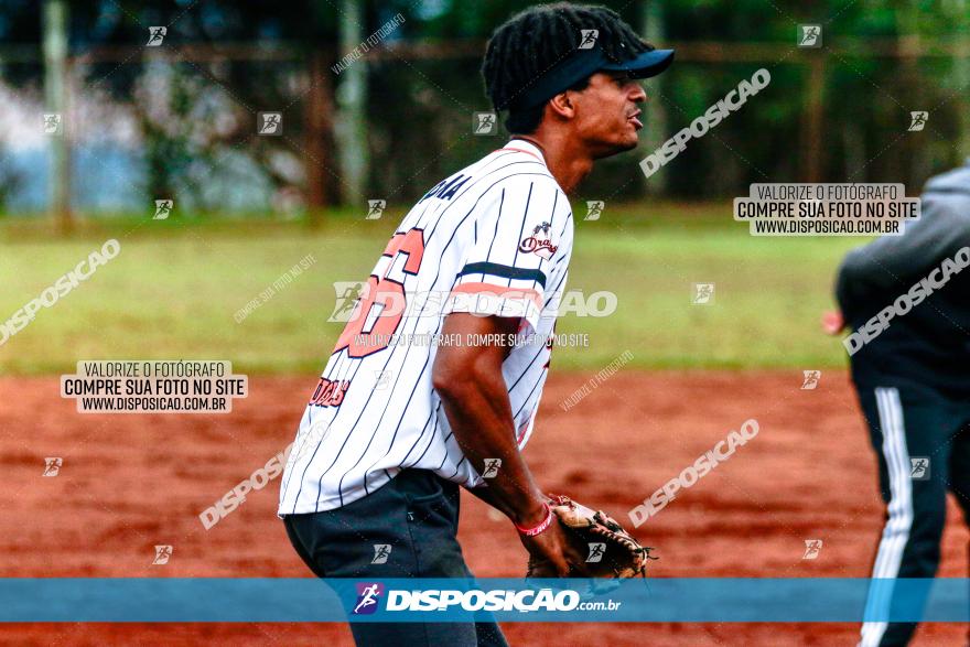 XXXII Brasileirão de Softbol