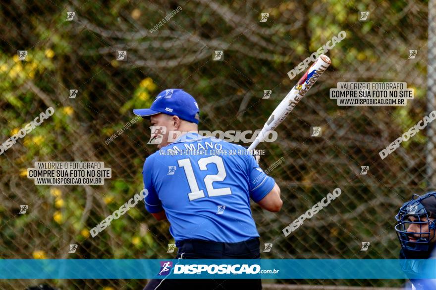 XXXII Brasileirão de Softbol