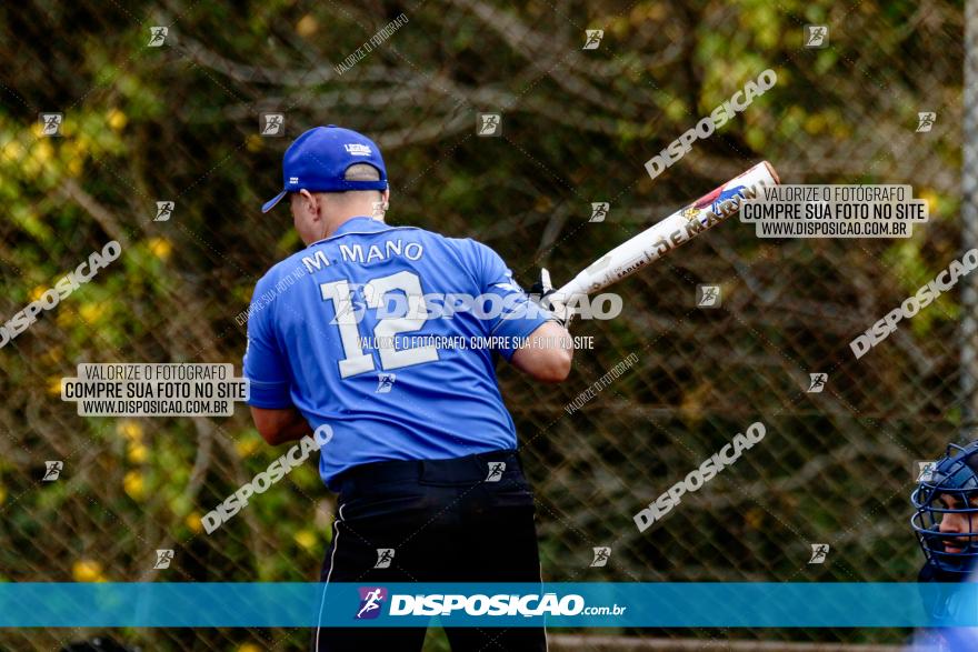 XXXII Brasileirão de Softbol