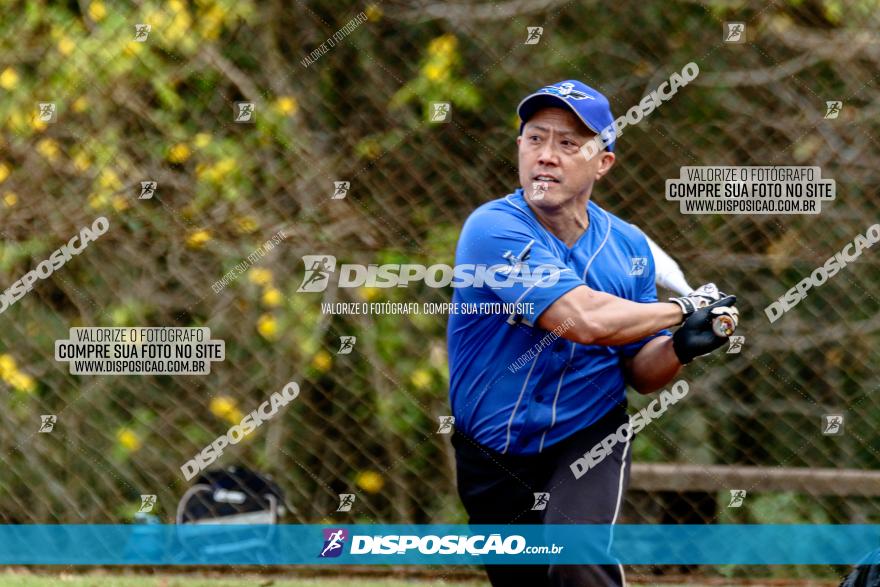 XXXII Brasileirão de Softbol