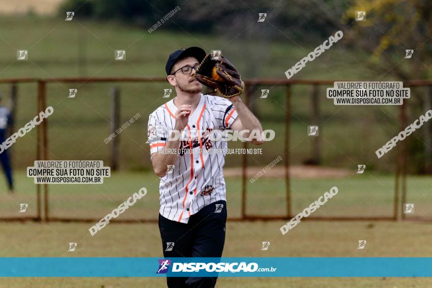 XXXII Brasileirão de Softbol